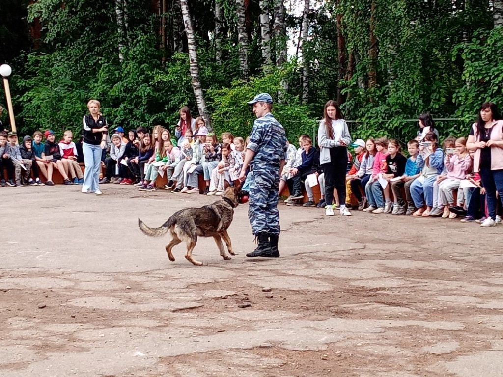 Вот оно какое наше лето! | 29.06.2022 | Новости Иваново - БезФормата