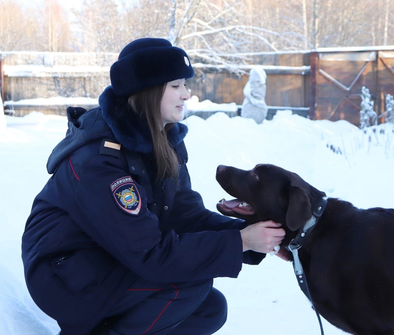 Новогоднее приключение Джека из деревни Лебяжий Луг | 03.01.2023 | Новости  Иваново - БезФормата